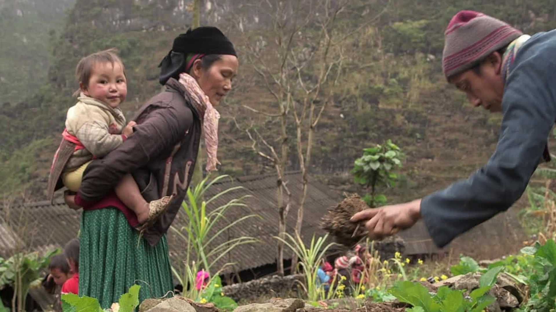 Affiche du document Les chemins de l'école - la série : Cho (Vietnam)