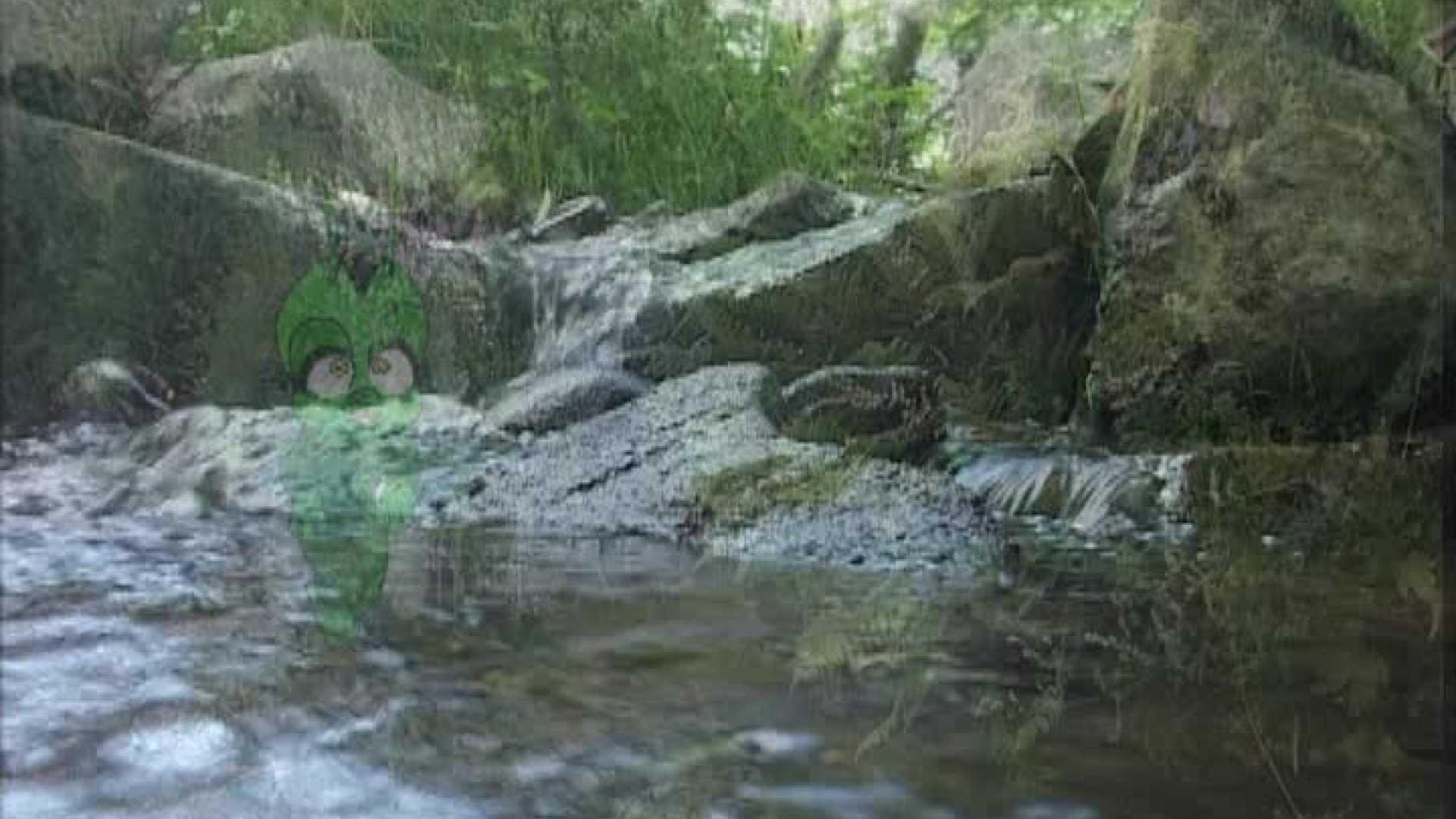 Affiche du document La rivière est polluée