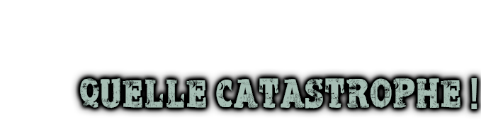 Quelle catastrophe !